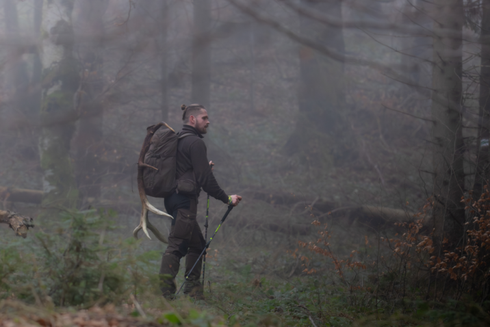Zbieracz poroża w lesie (Fot. Daniel Pękalski)